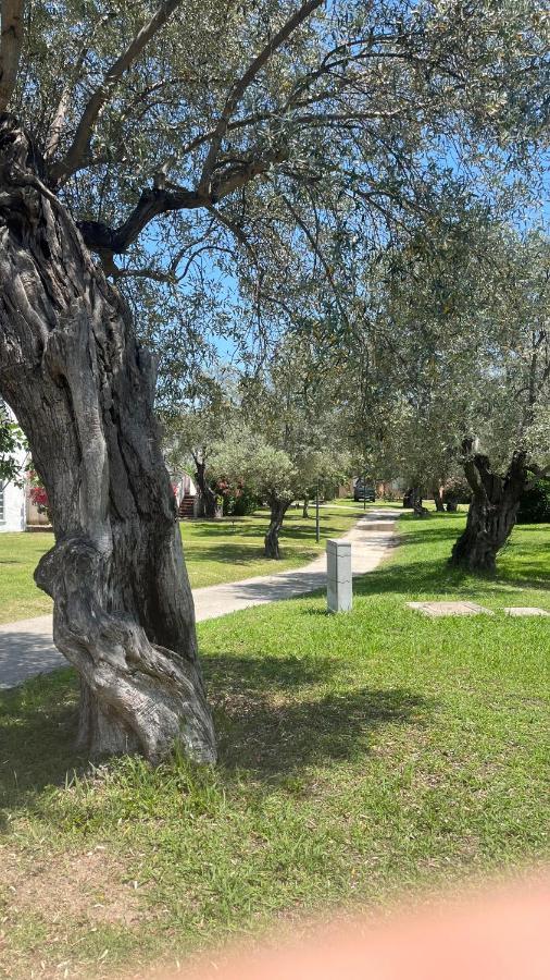 L'Isola Dei Vacanzieri Sant'Andrea Apostolo dello Ionio Eksteriør billede