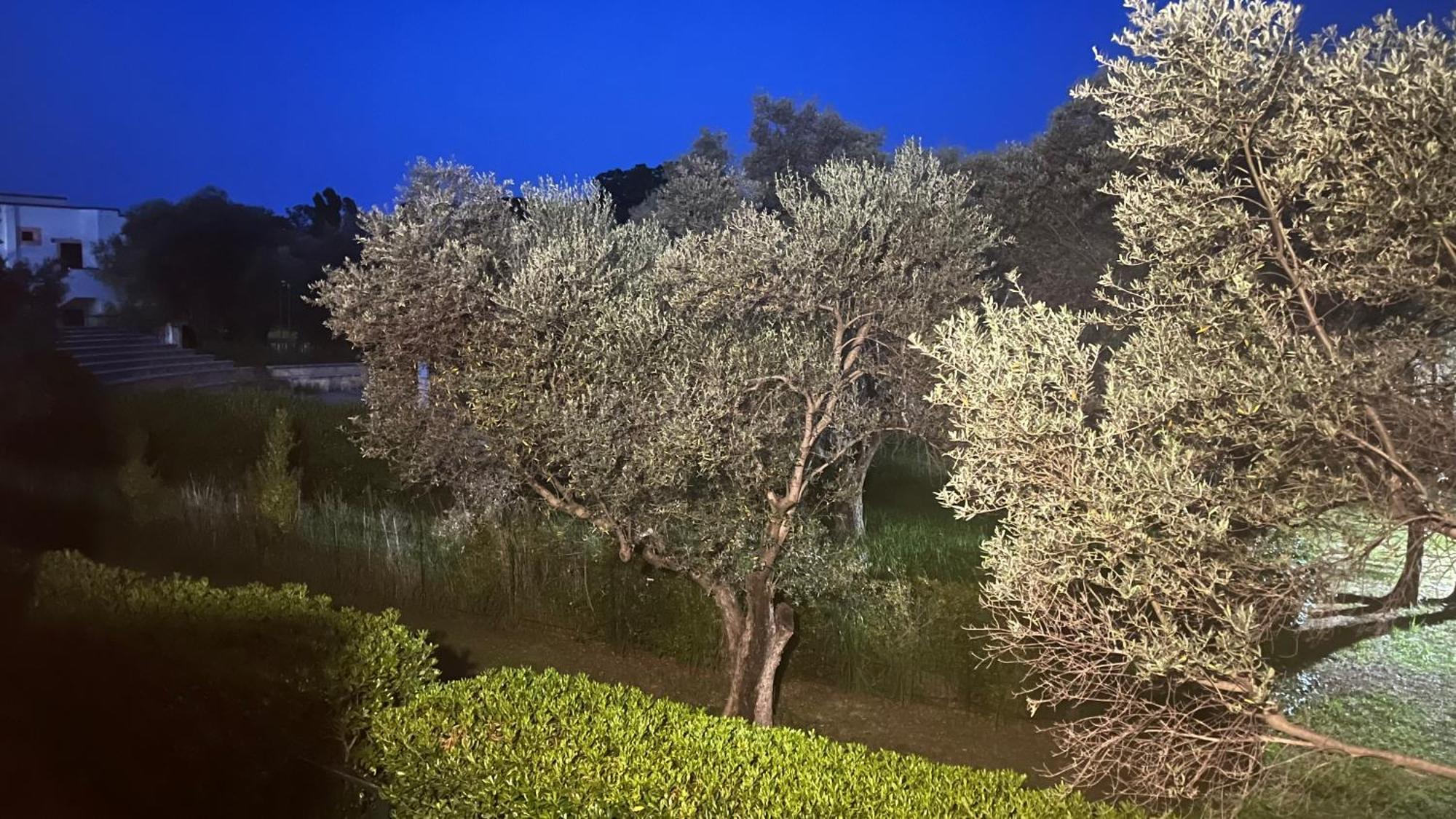 L'Isola Dei Vacanzieri Sant'Andrea Apostolo dello Ionio Eksteriør billede